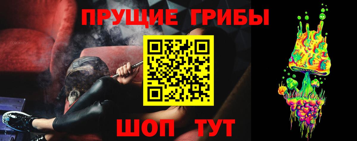 Долгопрудный  как найти закладки  Вход с VPN  Псилоцибиновые грибы Cubensis 